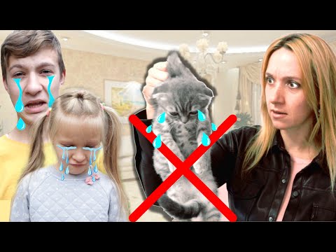Видео: Мама против КОТЕНКА 🐱 ВСЕ СЕРИИ ПОДРЯД - 1,5 ЧАСА