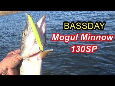 Видео: BASSDAY Mogul Minnow 130SP и щука.Pike Fishing.