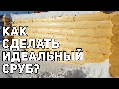Видео: Как сделать сруб для бани? Обзор срубов на производстве в г. Вологда!