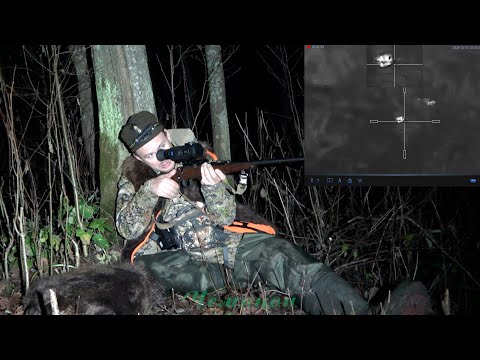 Видео: Охота на бобра с мелкашкой 22LR #44 \ Выстрел по енотке на 161 метр