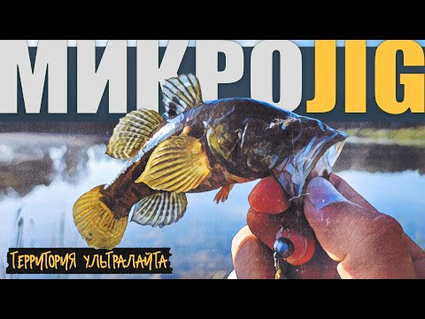 Видео: ПОЙМАЛ КУЧУ ОКУНЯ И ЭТО ЧУДОВИЩЕ ► МИКРОДЖИГ