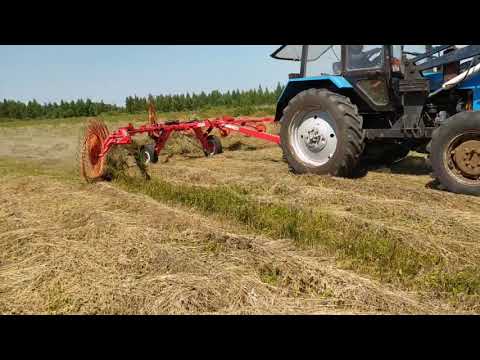 Видео: Сгребаю люцерну в валки, граблями  " Харвест".