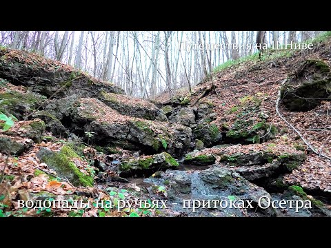 Видео: Водопады на ручьях - притоках Осетра. Интересные места Подмосковья #3
