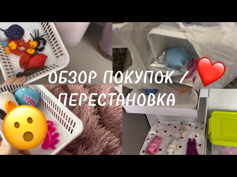 Видео: ОБЗОР ПОКУПОК/ПЕРЕСТАНОВКА СКВИШЕЙ 😮