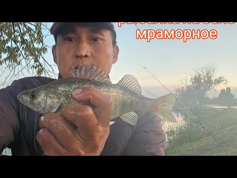 Видео: Спальный мешок алдым рахмат катталуучуларыма рыбалкага да бардым