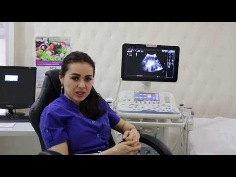 Видео: ХАЙЗ КЎРМАСЛИК НИМАЛАРГА ОЛИБ КЕЛАДИ 😱