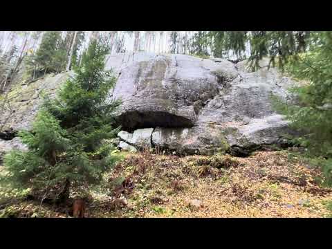 Видео: Шуйские скалы, осенний трекинг с собакой по лесу.