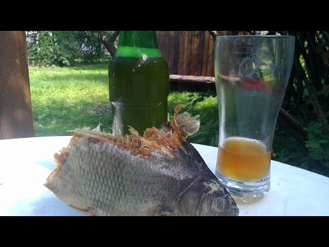 Видео: Пиво Lager из пивного экстракта  Coopers