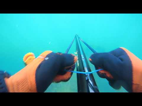 Видео: лето 2022