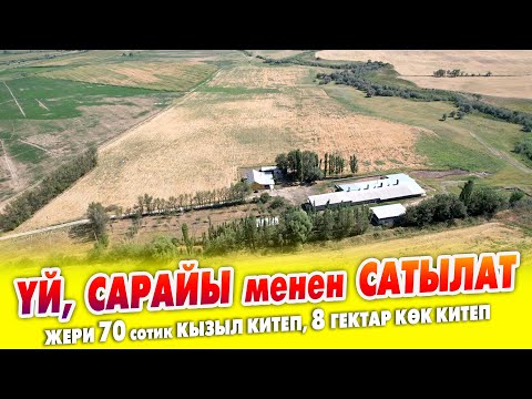 Видео: Бүт ШАРТЫ бар САРАЙ, ҮЙ, ЖЕР сатылат ~ Жеке трансформатор, суу, свет, кызыл китеп бар