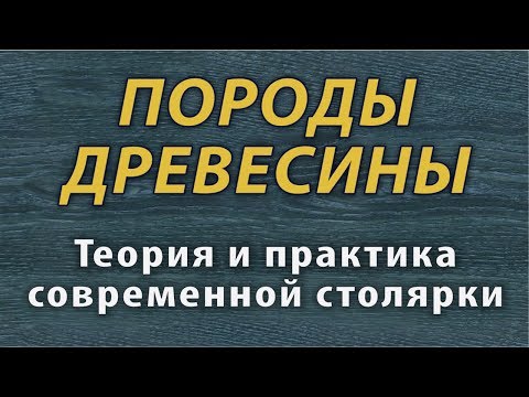 Видео: Породы древесины . ТиП СС