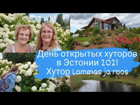 Видео: День открытых хуторов 2021 в Эстонии.Хутор Lammas ja Roos.Как живут в Эстонии.Провинция в Эстонии