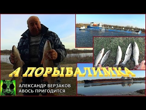 Видео: А порыбалимка. Трехдневка по пеленгасу. Дон.