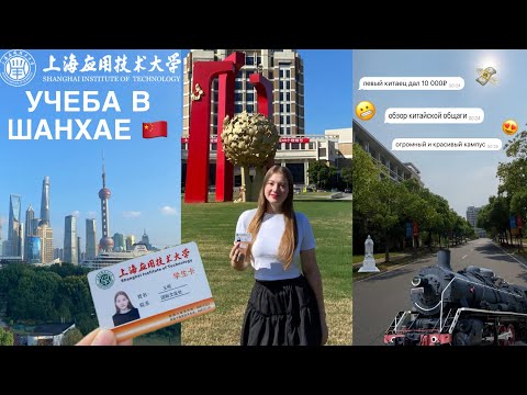 Видео: [vlog] учеба в шанхае 🇨🇳