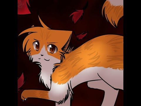 Видео: Коты Воители Кленовница - Клип У кошки 9 жизней (Заказ)