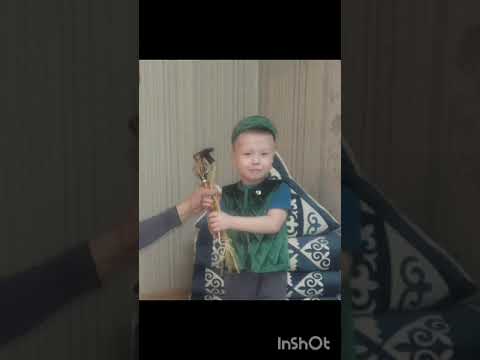 Видео: №19 «Бұлақ» балабақшасының «Балдырған» ортаңғы тобының тәрбиеленушісі Қайрат Әмір Медеуұлы.