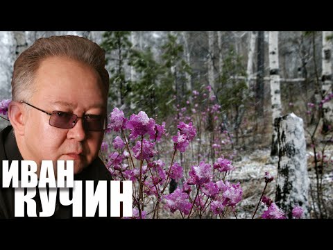 Видео: БАГУЛЬНИК / Разбор на гармони