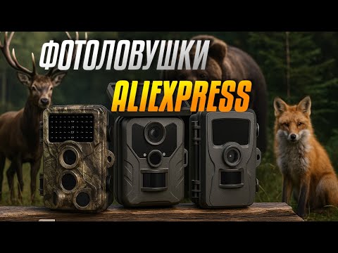 Видео: ТОП-5 Фотоловушек с AliExpress 🔥 Ловят всё — от кабана до вора!🦌📸 4G, WiFi, ночное видение. Рейтинг!