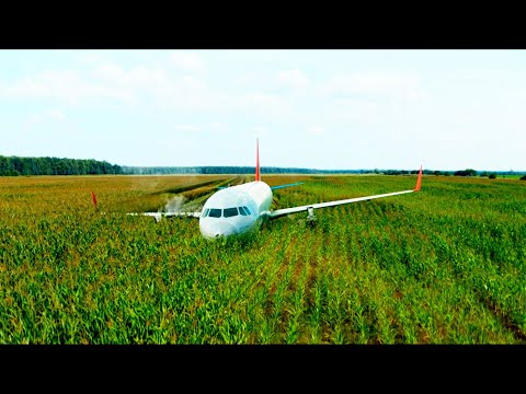 Видео: Садимся! (кадры из к/ф основанного на реальных событиях "На солнце, вдоль рядов кукурузы", 2022