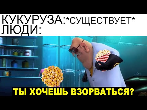 Видео: Дневная подборка мемов 869