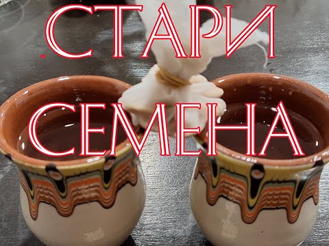 Видео: Рассада – Старые семена – не выбрасывайте их