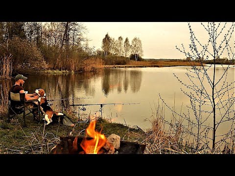 Видео: Рыбалка с Ночёвкой с Жориком. Первая в сезоне 2018. Вот Это КЛЁВ!!! Первый раз такое.
