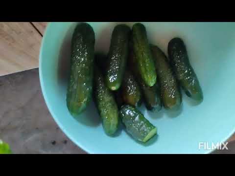 Видео: Що роблю у вихідні 