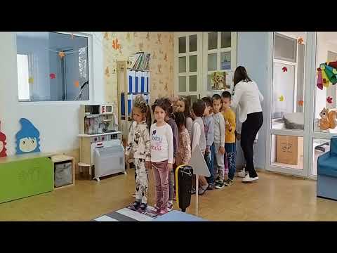 Видео: БДП - II гр. "Пчеличка"