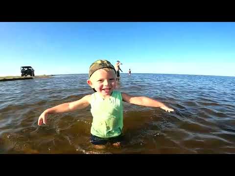 Видео: Проверяем сеть, сколько же рыбы мы словим?