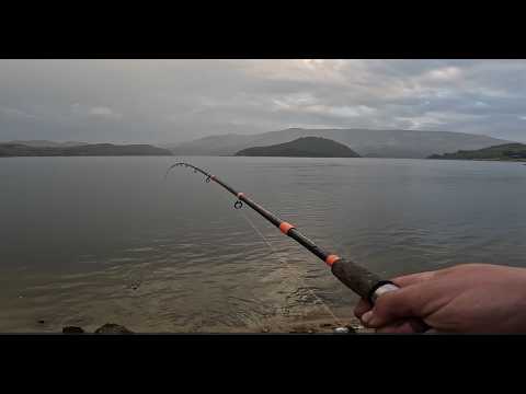 Видео: Риболов на язовир Студен Кладенец 2024.Част четвърта.Fishing at S. Kladenets Dam 2024. Part fourth..