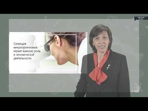 Видео: Биология - 10 класс - Селекция микроорганизмов