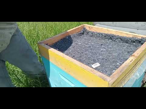 Видео: Двухматочное содержание.  Продолжение