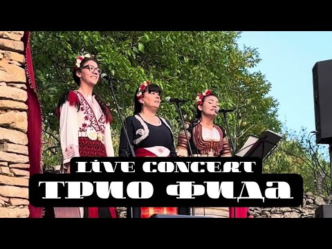 Видео: Трио Фида - Нуша - Live concert 1.08.2025 FIDA
