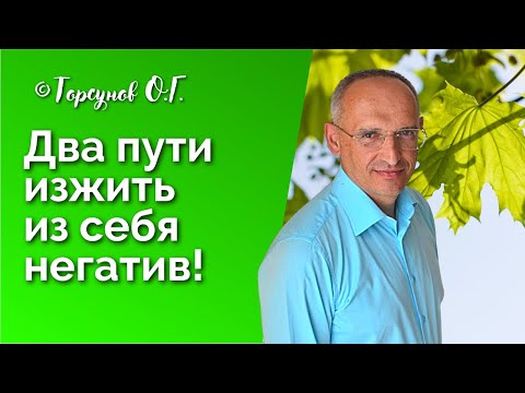 Видео: Два пути изжить из себя негатив. Торсунов лекции Смотрите без рекламы!