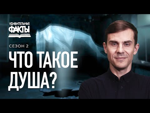 Видео: Что такое душа? Бессмертна ли душа? Тайна загробной жизни души | Удивительные факты 2 сезон (9/31)