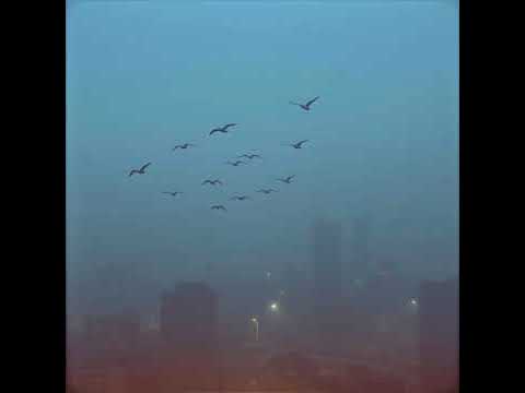 Видео: С. А. Есенин. «Кто я Что я Только лишь мечтатель...»