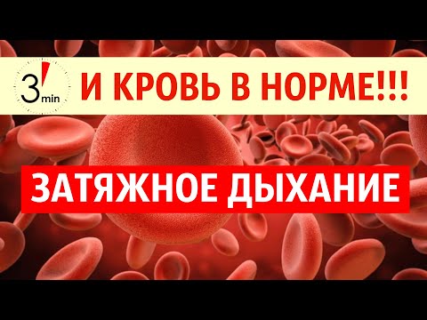 Видео: Кровь после затяжного дыхания. Нормализация pH