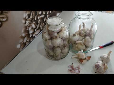 Видео: ЛУЧШИЙ СПОСОБ ХРАНЕНИЯ ЧЕСНОКА,ДО НОВОГО УРОЖАЯ 21 июня 2019 г.