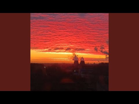 Видео: Расскажи почему?