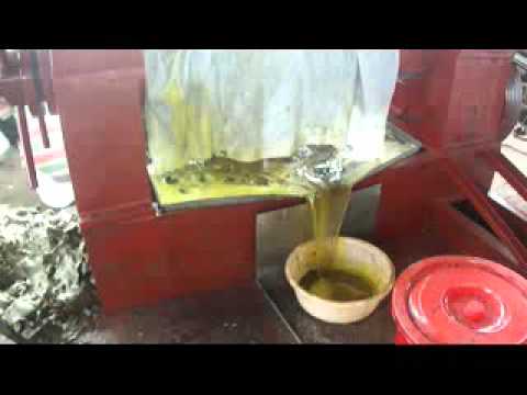 Видео: Маслопресс в работе HPYL 180 (HPYL 200), Китай.