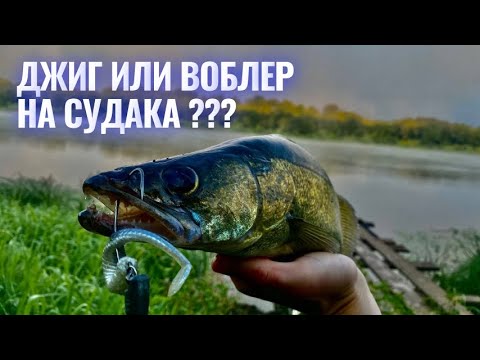 Видео: СУДАК НА ОКЕ | ВОБЛЕР ИЛИ ДЖИГ  |