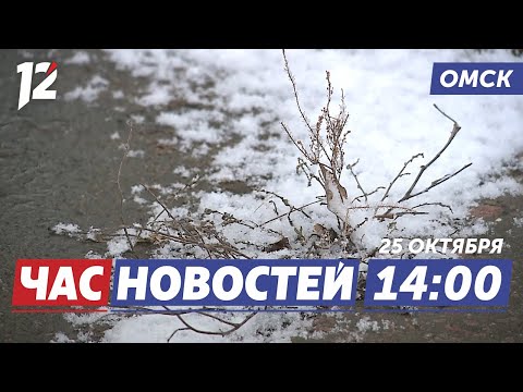 Видео: Снежный циклон / Брошенный автомобиль / Обокрал квартиру. Новости Омска