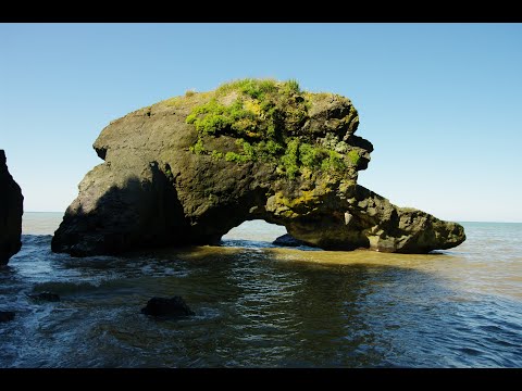 Видео: Цихисдзири. Банановая роща и пляж Шукура 22.09.25 #georgia #blacksea