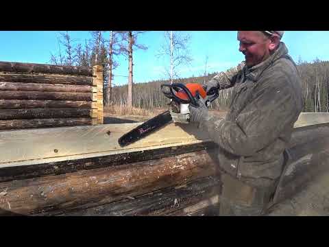 Видео: РАБОТА МОЛОДЫХ ЛАЕК!! Новая охотничья база. Часть 4