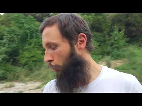 Видео: Мужской разговор: Потенция и сыроедение