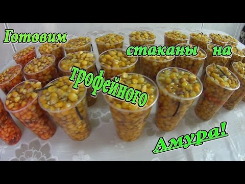 Видео: ГОТОВИМ ЗАМОРОЖЕНЫЕ  СТАКАНЫ С КУКУРУЗОЙ   НА  ТРОФЕЙНОГО  АМУРА И КАРПА  !