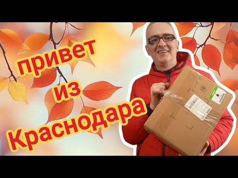 Видео: ОБЗОР И РАСПАКОВКА ПОСЫЛКИ ОТ КАНАЛА-@zabludshie_dushi