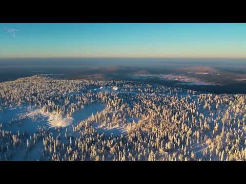 Видео: гора Белая, зима 2024. Вид с дрона.