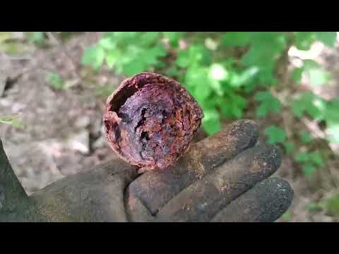 Видео: проверяю честность приёмок на обвес