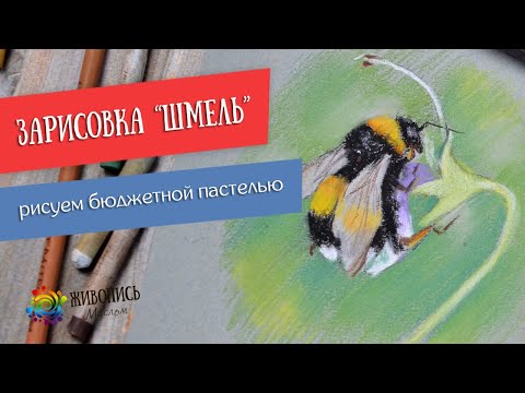 Видео: Мини мастер-класс "Шмель" бюджетной пастелью. Художник Юлия Капустина